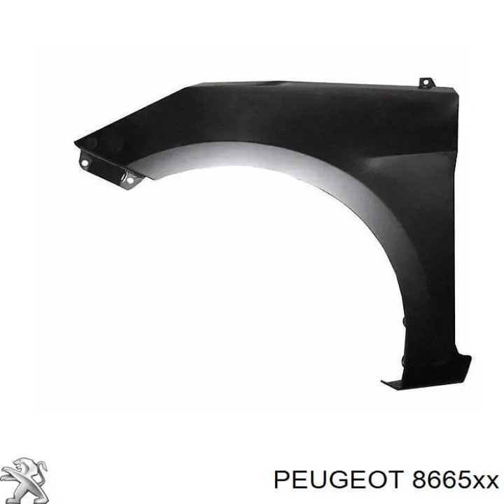8665XX Peugeot/Citroen Орнамент і декоративні написи