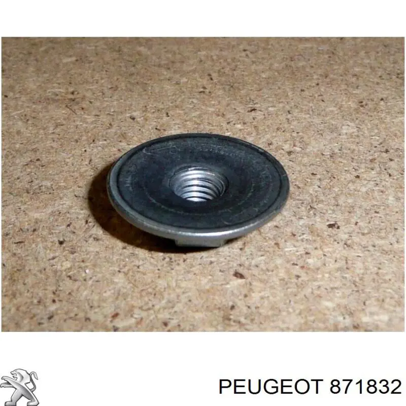 871832 Peugeot/Citroen 