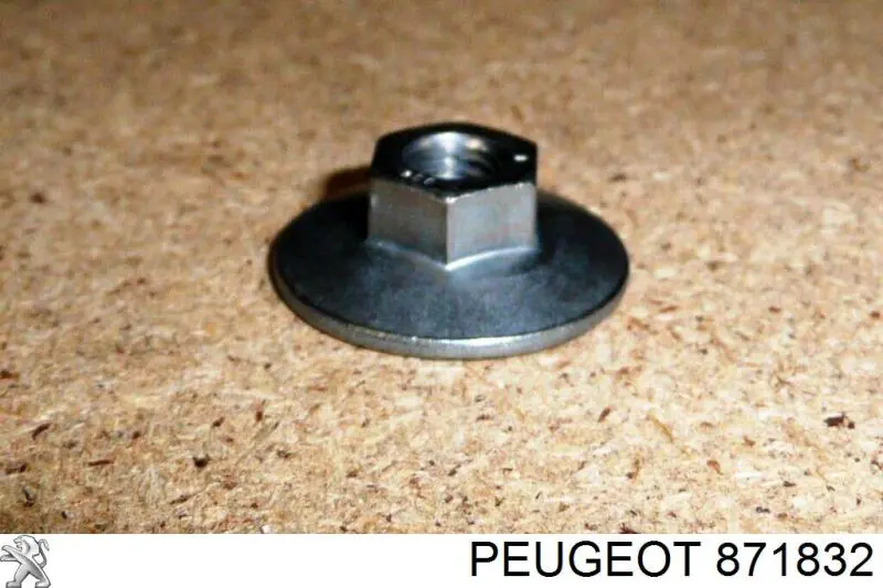  Peugeot/Citroen 871832 ціна, від 0.39 USD