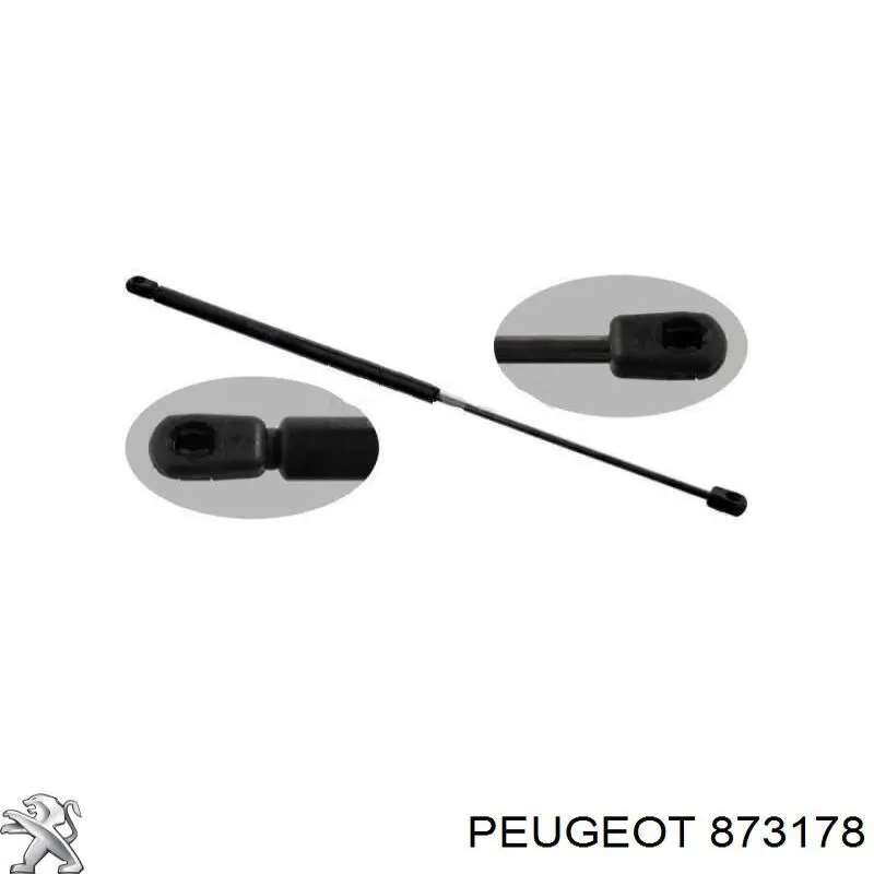 Амортизатор багажника 873178 Peugeot/Citroen