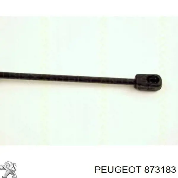 873183 Peugeot/Citroen амортизатор кришки багажника/ двері 3/5-ї задньої