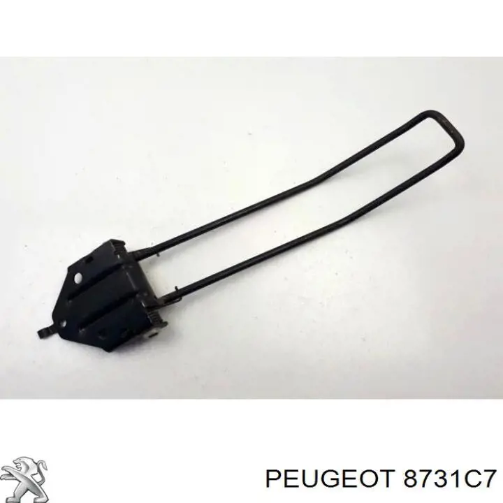 Обмежувач відкриття дверей багажного відсіку (фургон), лівий Peugeot/Citroen 8731C7 ціна, від 1.51 USD