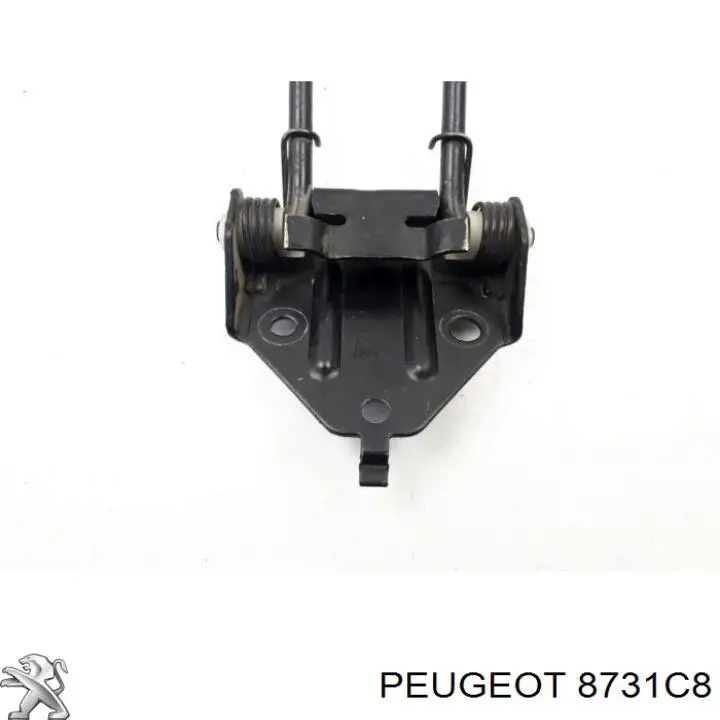 8731C8 Peugeot/Citroen Обмежувач відкриття дверей багажного відсіку (фургон), правий
