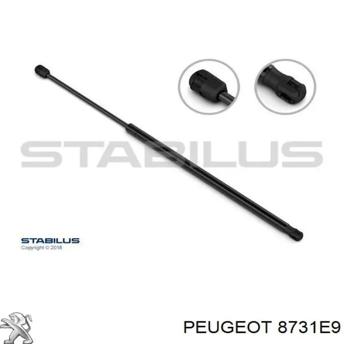 Купити 8731E9 Peugeot/Citroen Амортизатор двері багажника