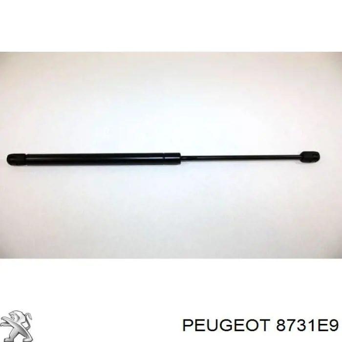 Амортизатор двері задньої Peugeot/Citroen 8731E9 ціна, від 8.80 USD