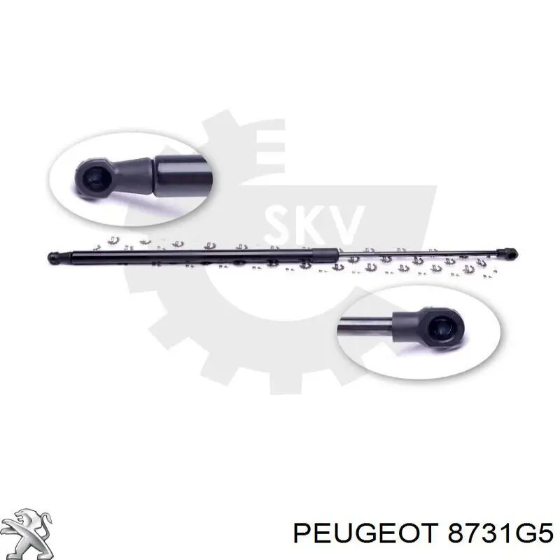 Амортизатор кришки багажника Magneti Marelli 430719047000