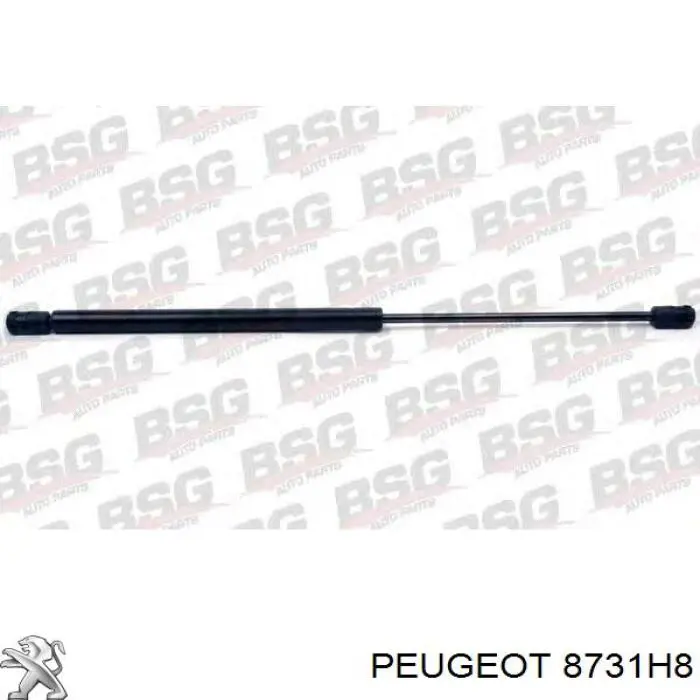 Амортизатор двері задньої Peugeot/Citroen 8731H8 ціна, від 4.92 USD