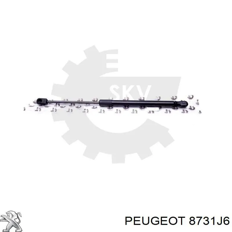 Амортизатор двері задньої Peugeot/Citroen 8731J6 ціна, від 10.65 USD