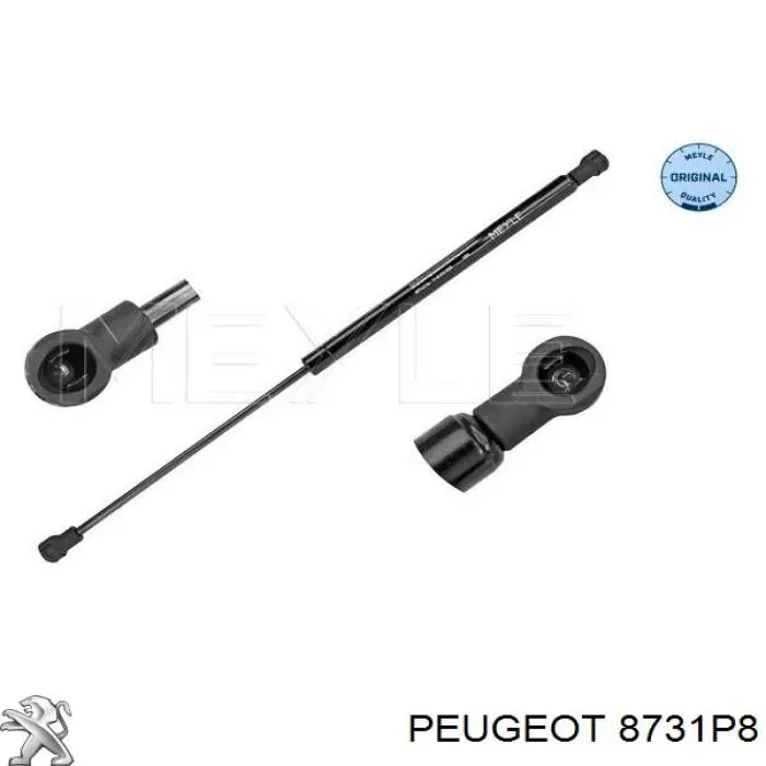 Купити 8731P8 Peugeot/Citroen Амортизатор скла задніх, 3/5-ї двері (ляди)