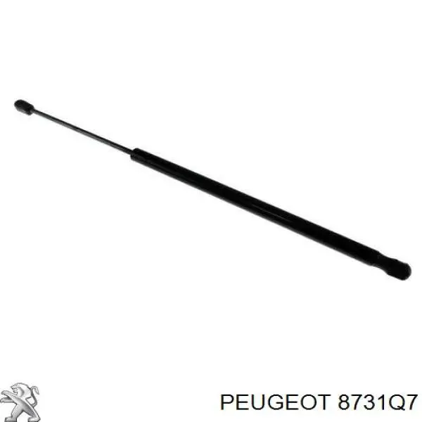 Амортизатор двері задньої Peugeot/Citroen 8731Q7 ціна, від 10.27 USD