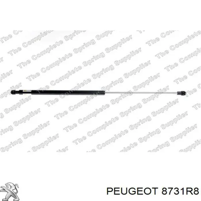 Купити 8731R8 Peugeot/Citroen Амортизатор скла задніх, 3/5-ї двері (ляди)