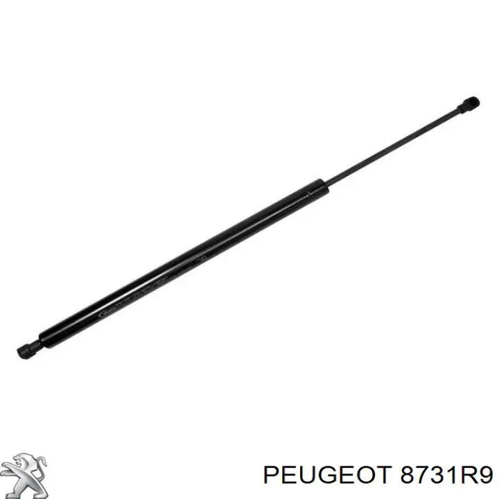Амортизатор двері задньої Peugeot/Citroen 8731R9 ціна, від 8.64 USD