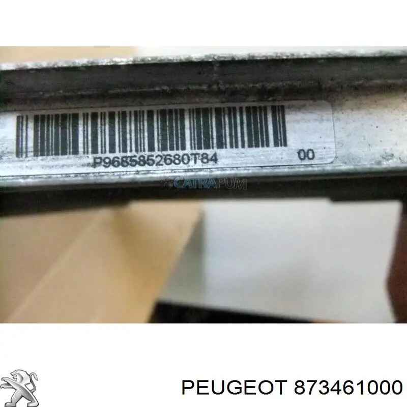 873461000 Peugeot/Citroen 