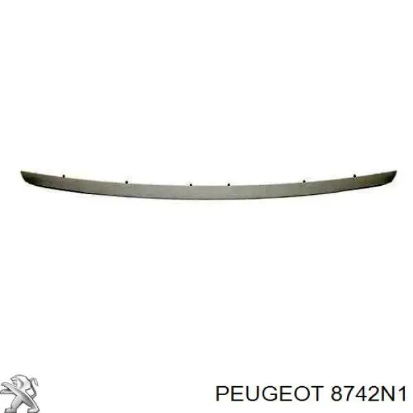 Молдинг задньої (3/5-ї) двері Peugeot/Citroen 8742N1
