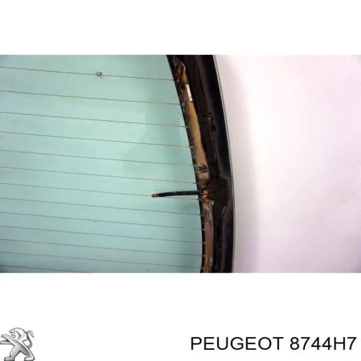 Скло кришки багажника XYG GS0550D21 ціна, від 32.22 USD