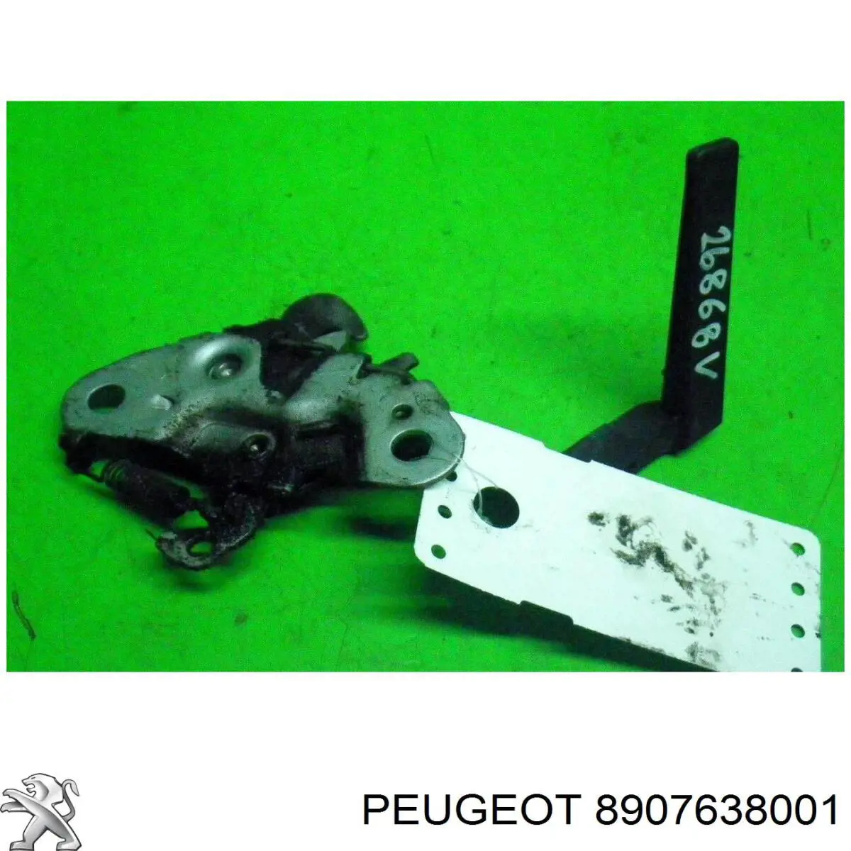  8907638001 Peugeot/Citroen