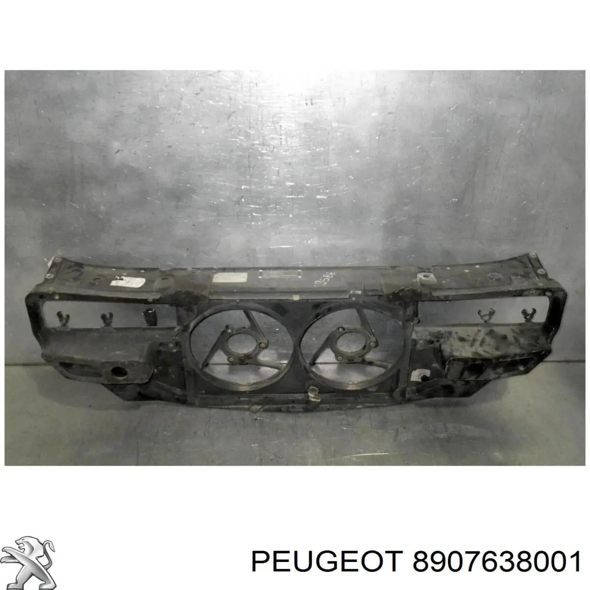 8907638001 Peugeot/Citroen 