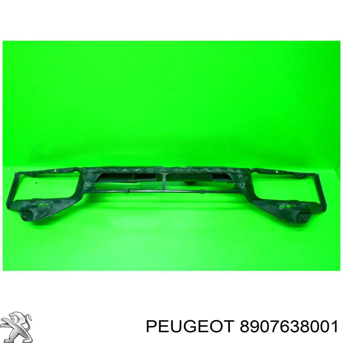 8907638001 Peugeot/Citroen 