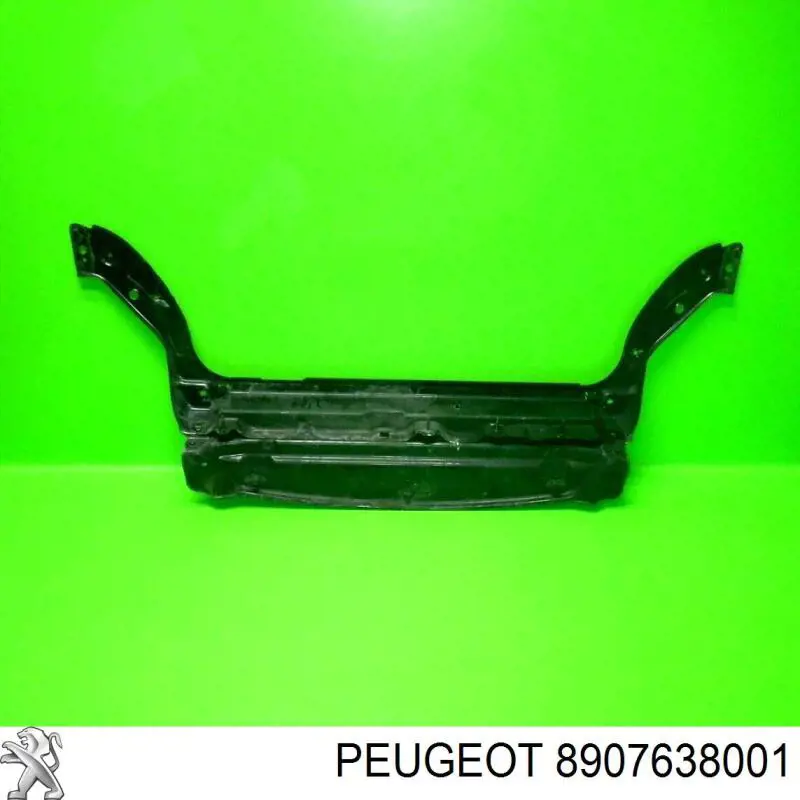  Peugeot/Citroen 8907638001