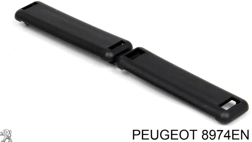 8974EN Peugeot/Citroen 