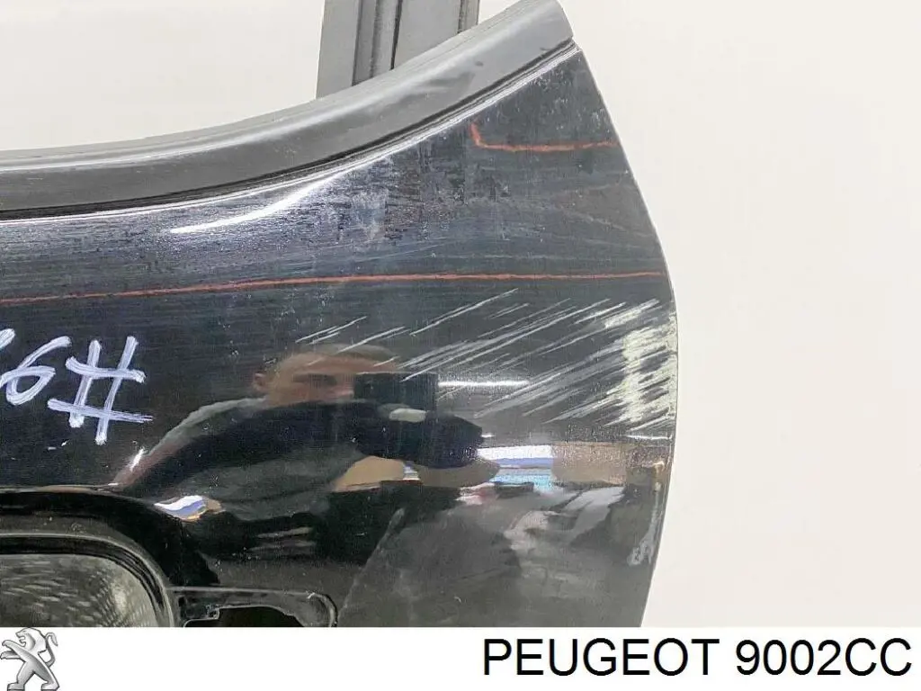 Двері задні Peugeot/Citroen 9002CC ціна, від 115.56 USD