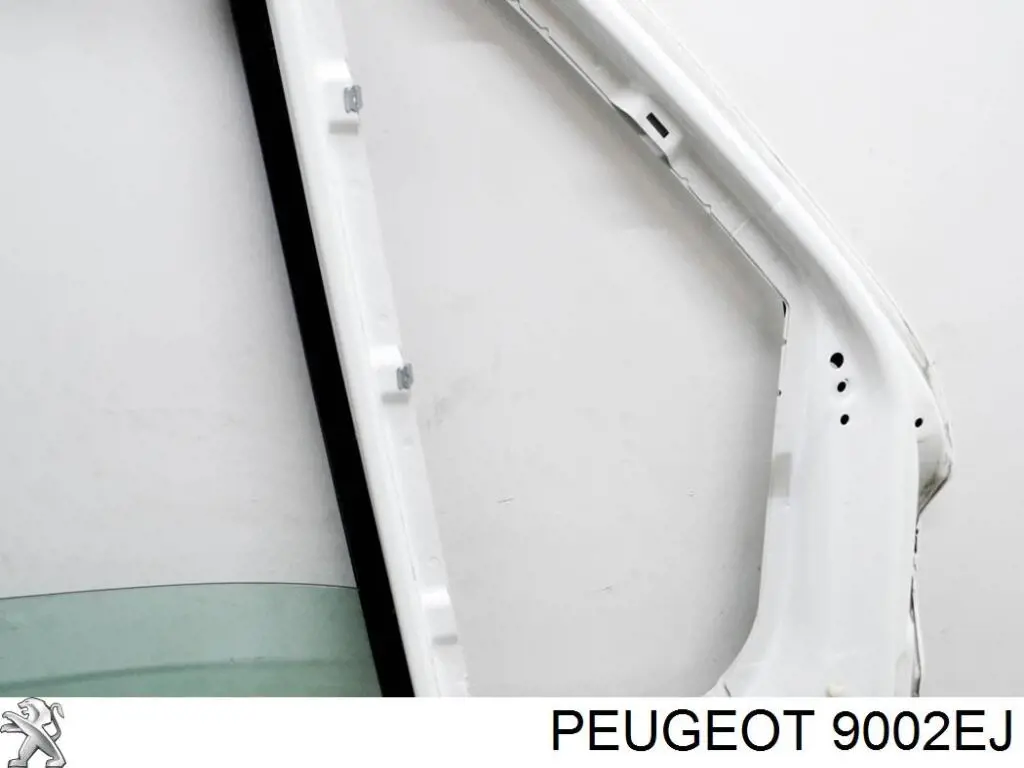 Купити 9002FG Peugeot/Citroen Двері кабіни