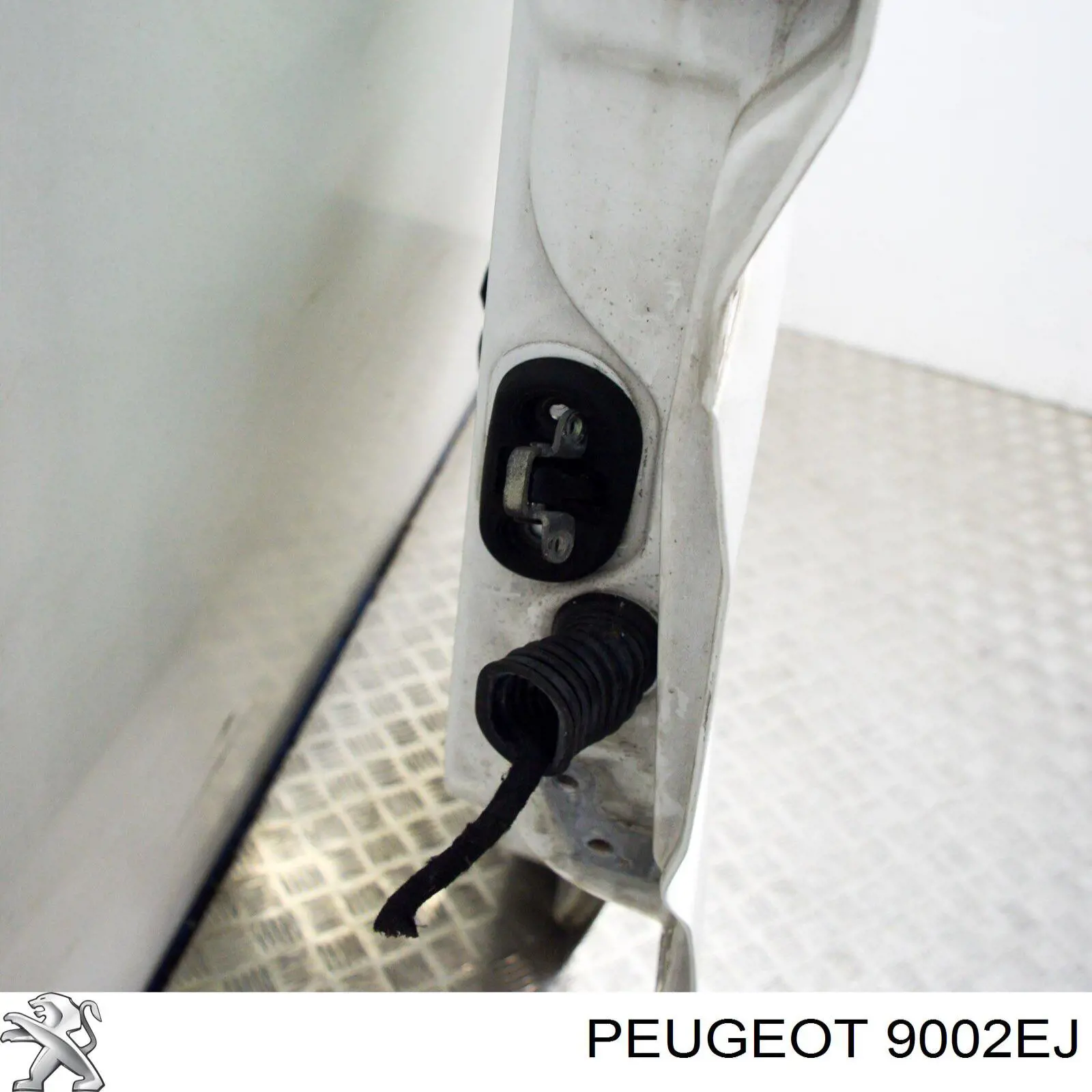 Двері передні, ліві Peugeot/Citroen 9002FG ціна, від 48.14 USD