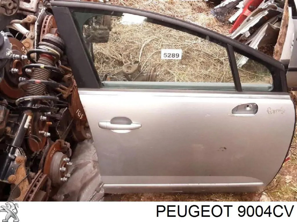  9004CV Peugeot/Citroen