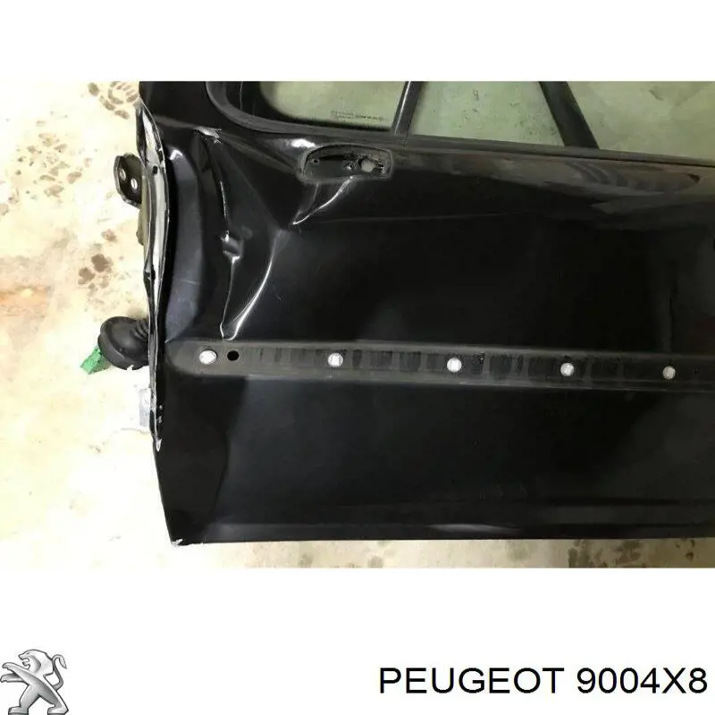 Купити 9004X8 Peugeot/Citroen Двері праві передні