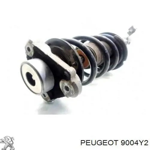 1610976080 Peugeot/Citroen Пасажирські передні двері