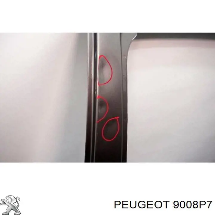 9008P7 Peugeot/Citroen двері задні, праві