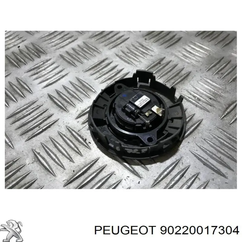 90220017304 Peugeot/Citroen 