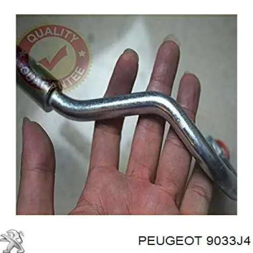 9033L6 Peugeot/Citroen Ролик двері бічної/зсувної, правий верхній