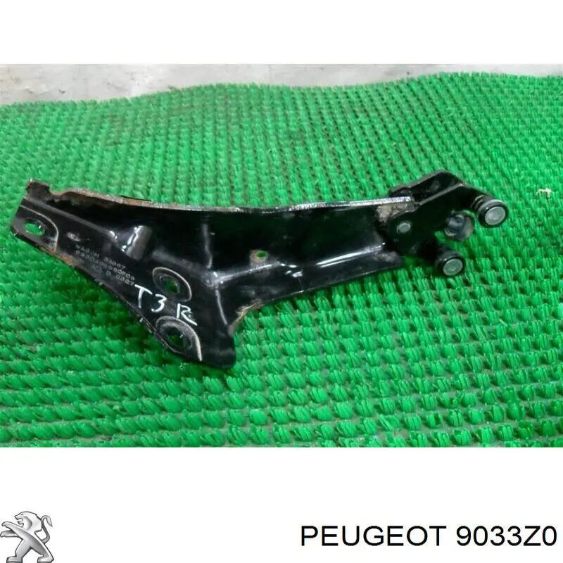 Ролик двері бічної/зсувної, правий нижній Polcar 2352Z70 ціна, від 13.61 USD