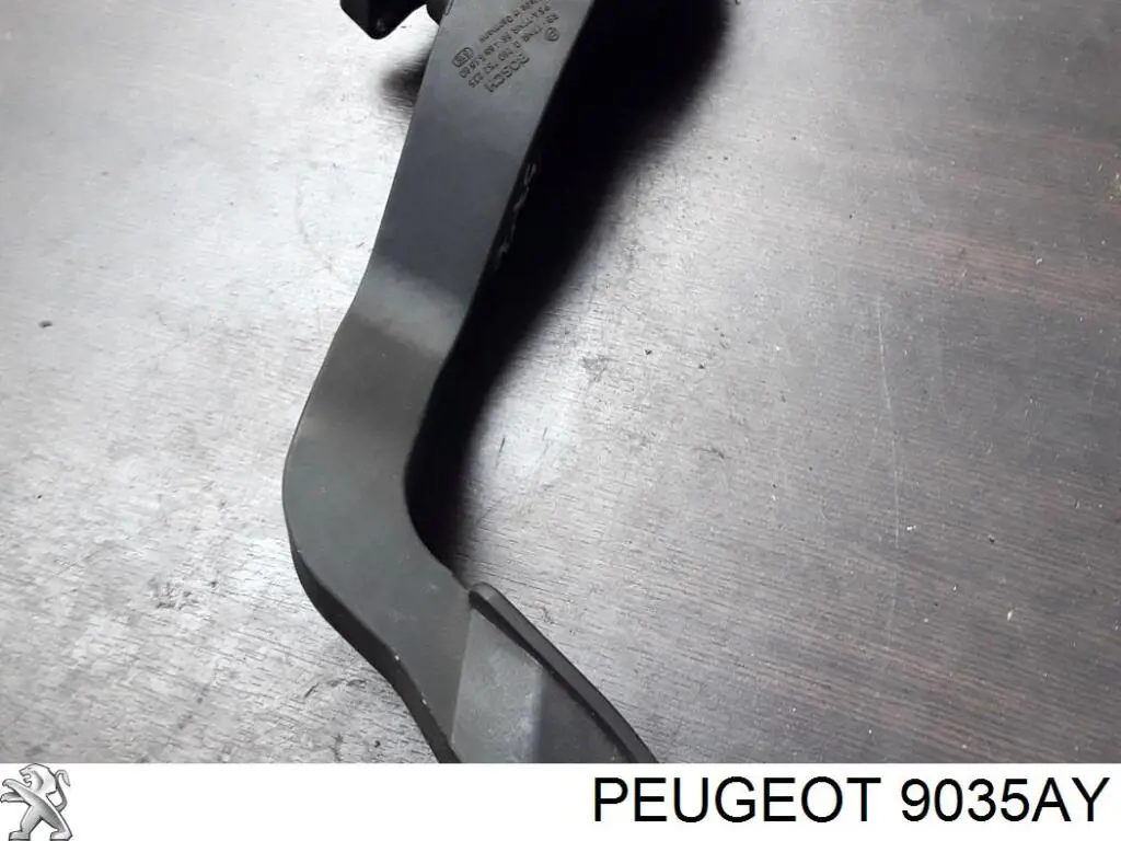 9035AY Peugeot/Citroen Петля задніх лівих дверей