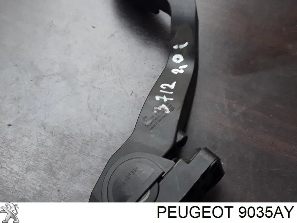 Купити 9035AY Peugeot/Citroen Завіса дверей задніх лівих