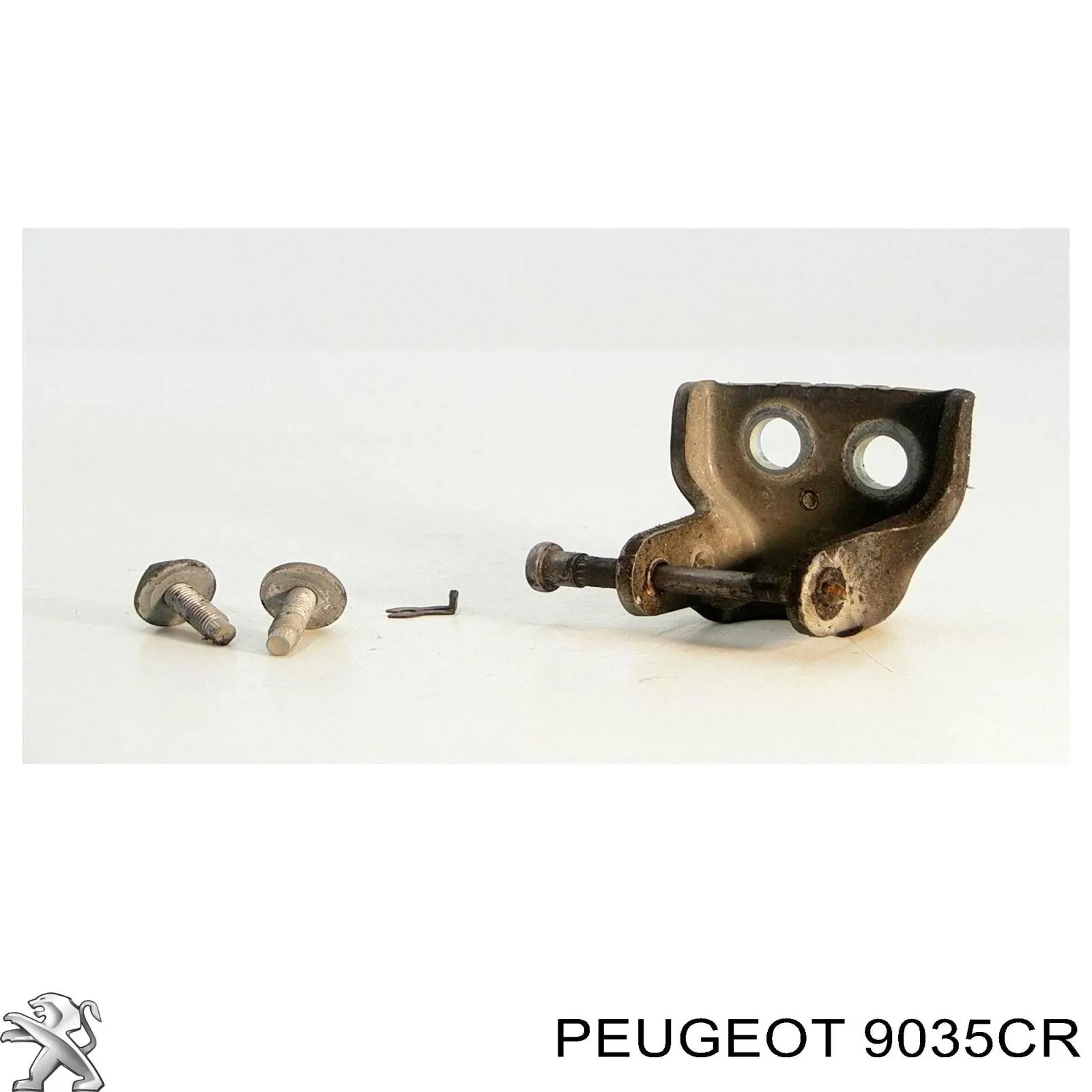 9035CR Peugeot/Citroen Петля передніх дверей, правою