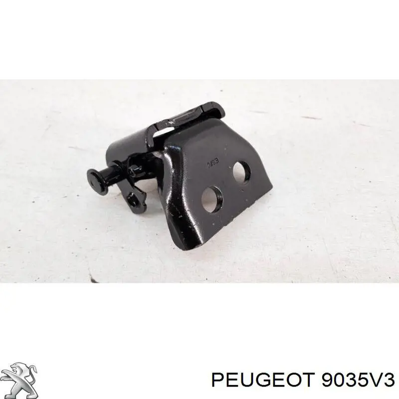 9035V3 Peugeot/Citroen Петля передніх дверей, лівою