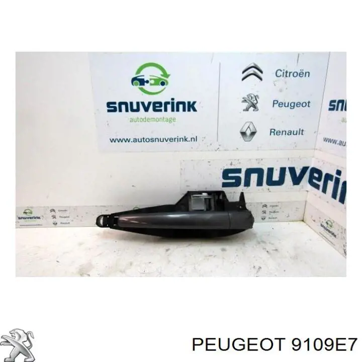 Купити 9101CL Peugeot/Citroen Ручка дверей правих, зовнішня, перед/зад