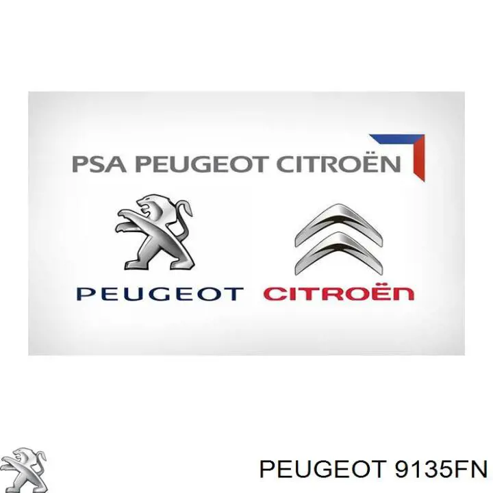 Замок передньої двері, лівої Peugeot/Citroen 9135AY ціна, від 171.95 USD
