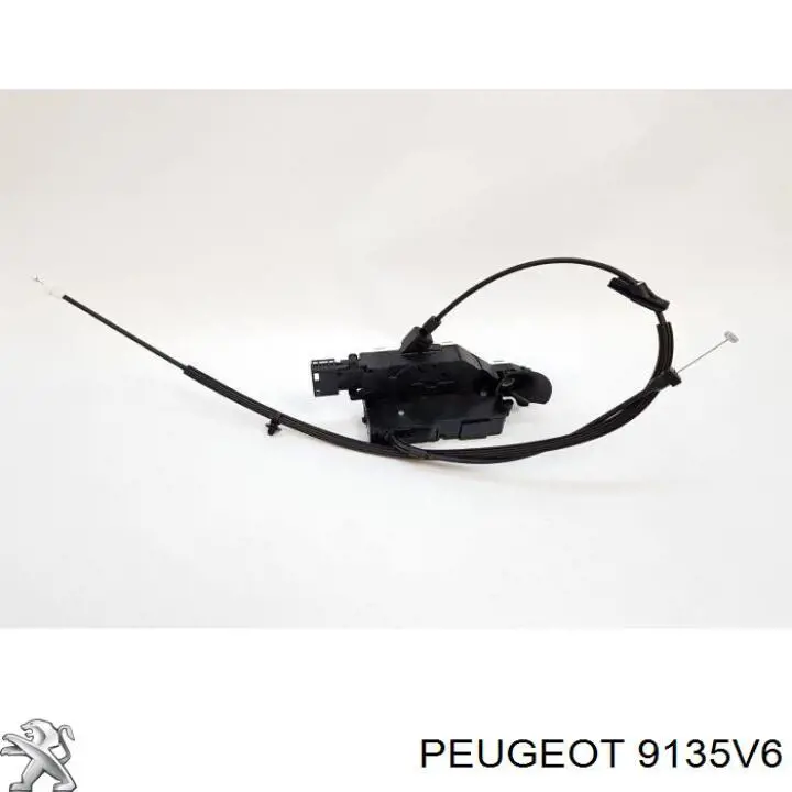  9135V6 Peugeot/Citroen