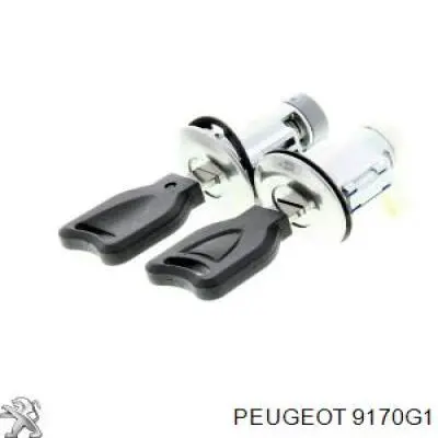 Личинки замків, комплект Peugeot/Citroen 9170G1 ціна, від 43.61 USD