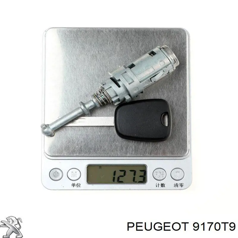 Купити 9170T9 Peugeot/Citroen Лічинка замка водійських дверей