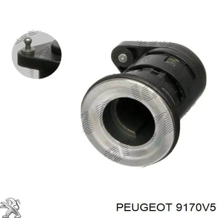  Miraglio 80465 ціна, від 15.06 USD