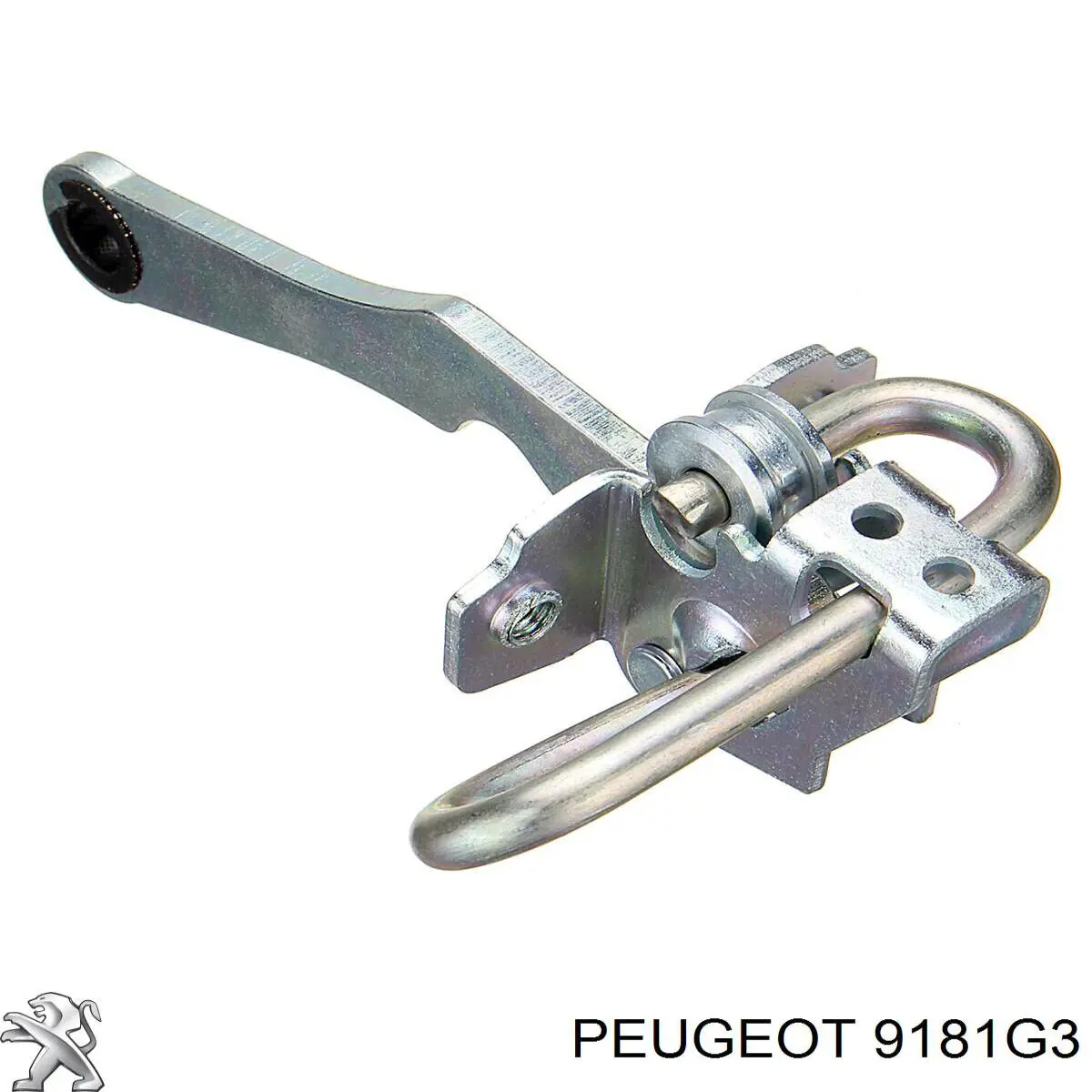 Купити 9181G3 Peugeot/Citroen Обмежувач відкриття дверей, передній