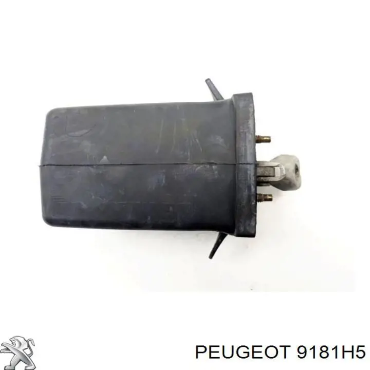 Обмежувач відкриття дверей, передній Peugeot/Citroen 9181H5 ціна, від 80.66 USD