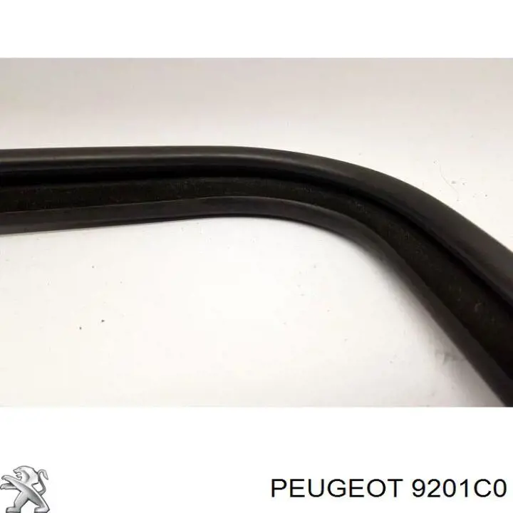 Купити 9201C0 Peugeot/Citroen Скло-кватирка двері, передній, лівій