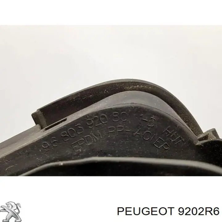9202R6 Peugeot/Citroen скло-кватирка двері, передній, правій