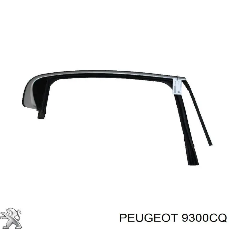 9300CQ Peugeot/Citroen 