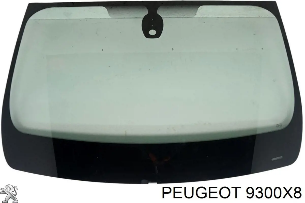 9300X8 Peugeot/Citroen 